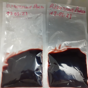 riduzione al porto.png