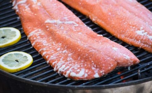 lisciviazione delle proteine del salmone.jpg