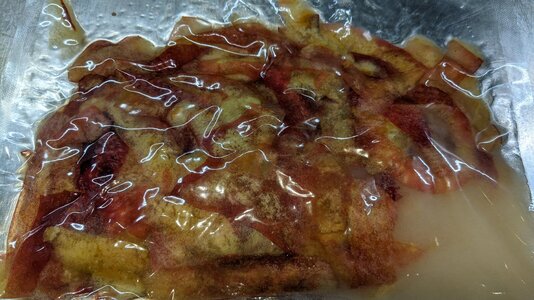 PXL_20211104_084817928.jpg PXL_20211104_084817928.jpg